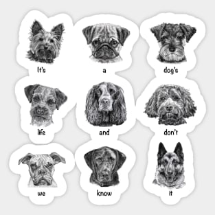 It's a dog's life and don't we know it Sticker
